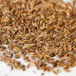 Spices